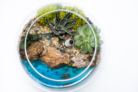 Florarium in a glass vase with haworthia, pachyphytum and other succulents near the sea.の写真素材