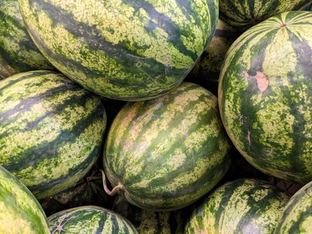 A lot of watermelons in the supermarket, top viewの写真素材