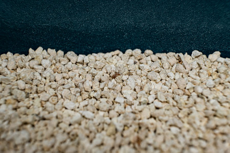 Bentonite clumping clay litter for cat litter box and pets close-upの写真素材