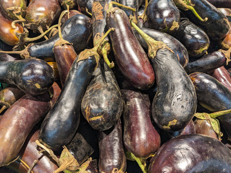 Limp and dusty old bad eggplants in the supermarket close-up.の写真素材