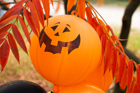 Halloween pumpkin balloons, orange and black in autumn parkの写真素材