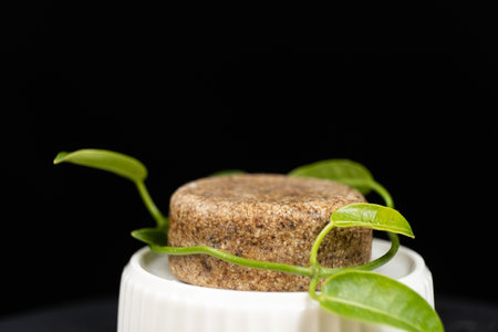 Solid shampoo for hair care, eco-friendly natural cosmetics made from herbs and oils
