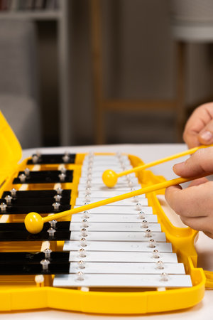 Playing with sticks on a metallophone, a metal xylophone. Percussion Musical Instrumentの写真素材
