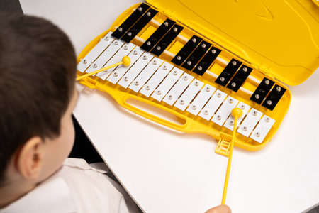 Little Six Year Old Boy Playing Metallophone Metal Xylophone Percussion Musical Instrument.の写真素材
