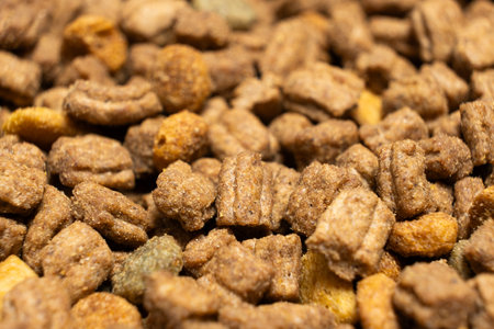 Dry food for puppies close-up. Complete diet for dogs during their first year of lifeの写真素材