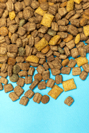 Dry food for kittens and cats close-up. A complete cat dietの写真素材