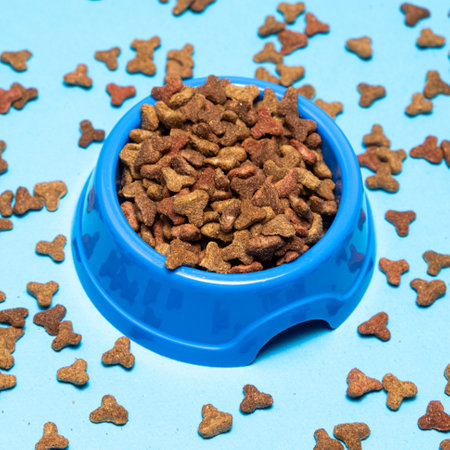Dry cat food in a plate on a blue background, close-up. Complete Cat Nutritionの写真素材