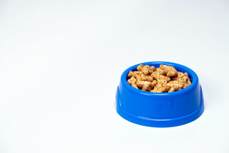 A treat for cats and kittens is a fish-shaped catnip cookie in a blue bowl, copy space for text.の写真素材