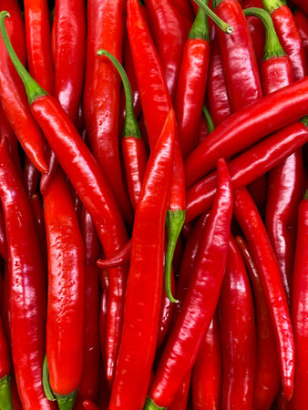 Hot chili peppers, background of many red peppers.の写真素材