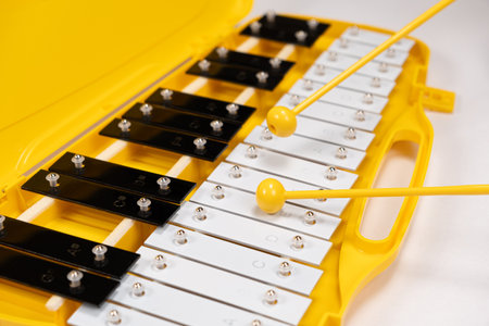 Metallophone, metal xylophone, percussion musical instrument on a white backgroundの写真素材