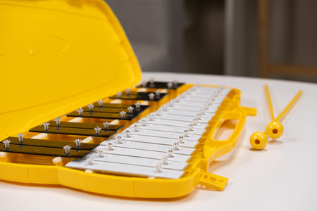 Metallophone musical percussion instrument with metal plates close-upの写真素材