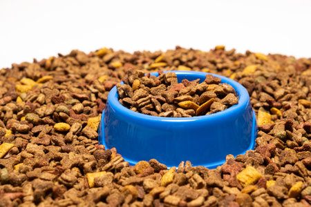 Dry pet food in a blue bowl on a white background