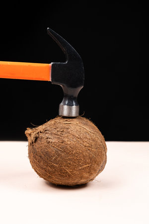 The process of breaking a coconut with a hammer. Ways to open a coconutの写真素材