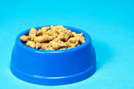 A treat for cats and kittens is a fish-shaped catnip cookie in a blue bowl, copy space for text.の写真素材