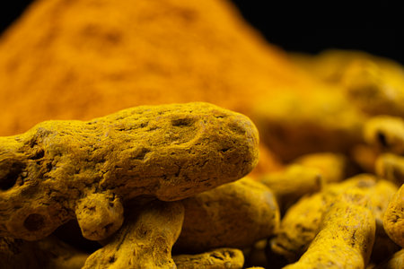 Dried turmeric root and turmeric powder close-up macro.