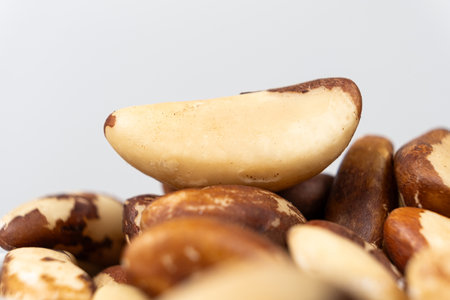 Macro brazil nuts on light grey background.の写真素材