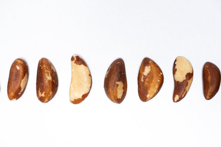 Close-up of Brazil nuts on white background top view.の写真素材