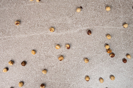 Roasted hazelnuts on a gray stone background top viewの写真素材
