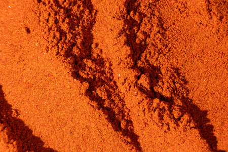 Ground paprika, red terracotta spice background, art in cooking