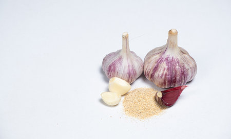 Garlic heads and cloves. garlic powder dry seasoning on white background, copy space for text.の写真素材