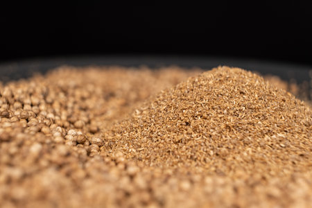 Ground Coriander Natural Spice Close-Upの写真素材