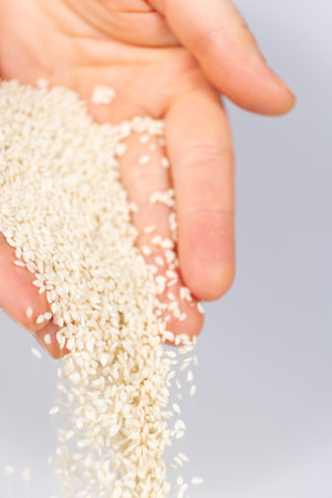 Hands pouring white sesame seeds on gray background.の写真素材