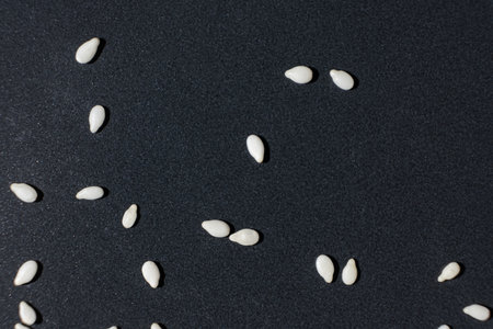 Macro kernels of white roasted sesame seedsの写真素材