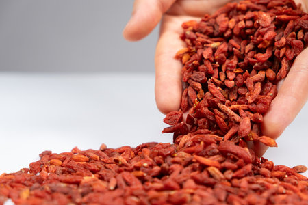 Handful of dried red goji berries pouring out of hands.の写真素材