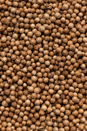 Coriander grains macro top viewの写真素材