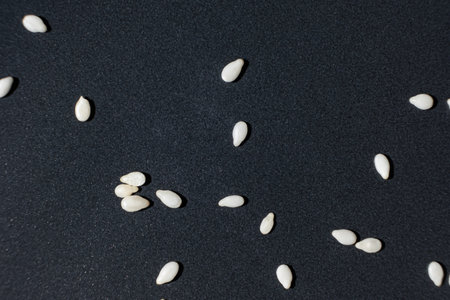 Macro kernels of white roasted sesame seeds.の写真素材