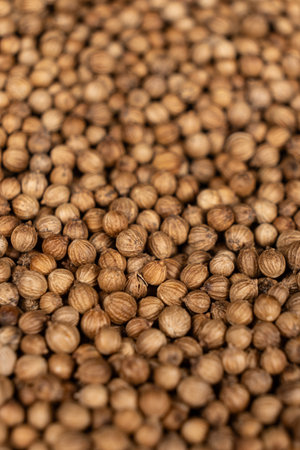 Macro Grains Coriander Natural Spiceの写真素材