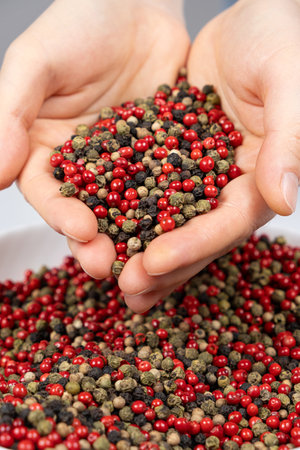 A handful of mixed peppercorns - red, green, white and black peppers in hands.