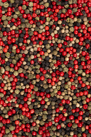 A mixture of different peppercorns white, black, red and green peppers spices.