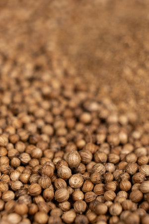 Macro Grains Coriander Natural Spice.の写真素材