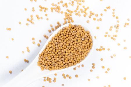 Mustard seeds in a spoon, white background, natural organic seasoning.の写真素材