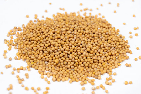 Mustard seeds on white background, natural organic seasoning.の写真素材