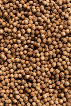 Coriander grains macro top view