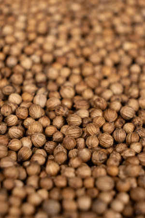 Macro Grains Coriander Natural Spice Selective Focus.の写真素材