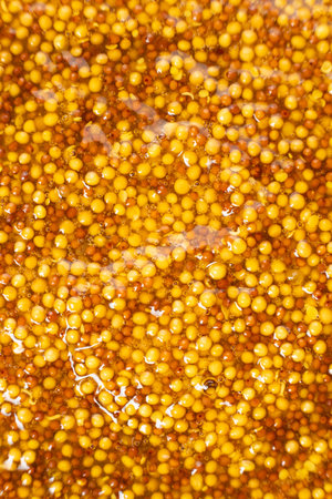French Dijon mustard background, close-up, top view