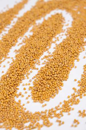 Mustard seeds on white background, natural organic seasoning.の写真素材