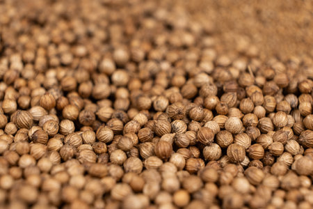 Macro Grains Coriander Natural Spice Selective Focus.の写真素材
