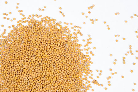 Mustard seeds on white background, natural organic seasoning, top viewの写真素材