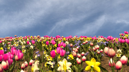 Beautiful spring flowers tulips, daffodils and crocuses, space for textの写真素材