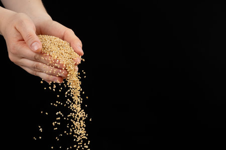 Hands pour raw uncooked wheat groats on black background copy space for text.の写真素材