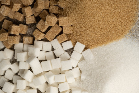 Types of sugar - cane unrefined and white beet refined, crystalline and in the form of cubesの写真素材