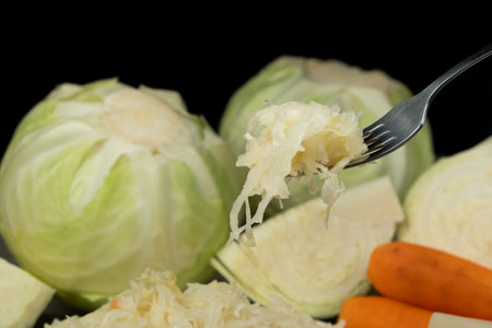 Sauerkraut salad traditional recipe consisting of cabbage, carrots, salt and peppercorns.の写真素材