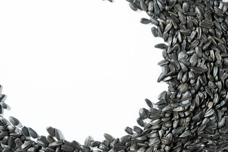 Black Unpeeled Sunflower Seeds on White Background, Place for Text, Top View.の写真素材