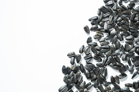 Black Unpeeled Sunflower Seeds on White Background, Place for Text, Top View.の写真素材
