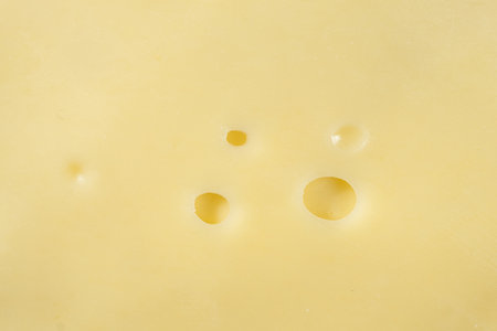 Delicate Semi-Hard Cheese Slices with Holes.の写真素材