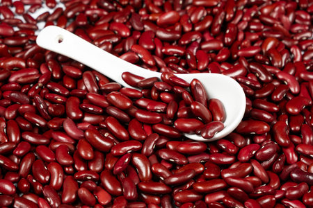 Pile of Red Kidney Beans in a Spoon. Healthy Plant-Based Nutrition.の写真素材
